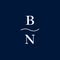 Blue Nile logo