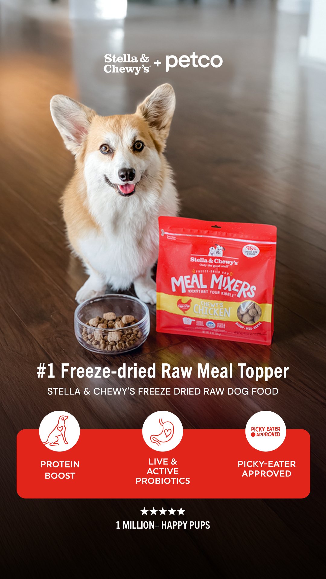 Stella & Chewy's 9:16 ad: a corgi beside a bag of Meal Mixers, a headline at mid-height and red benefit badges near the bottom