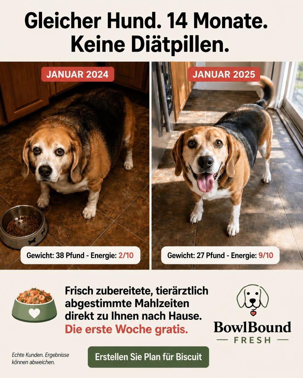 The same BowlBound Fresh ad in German: Gleicher Hund. 14 Monate. Keine Diätpillen.