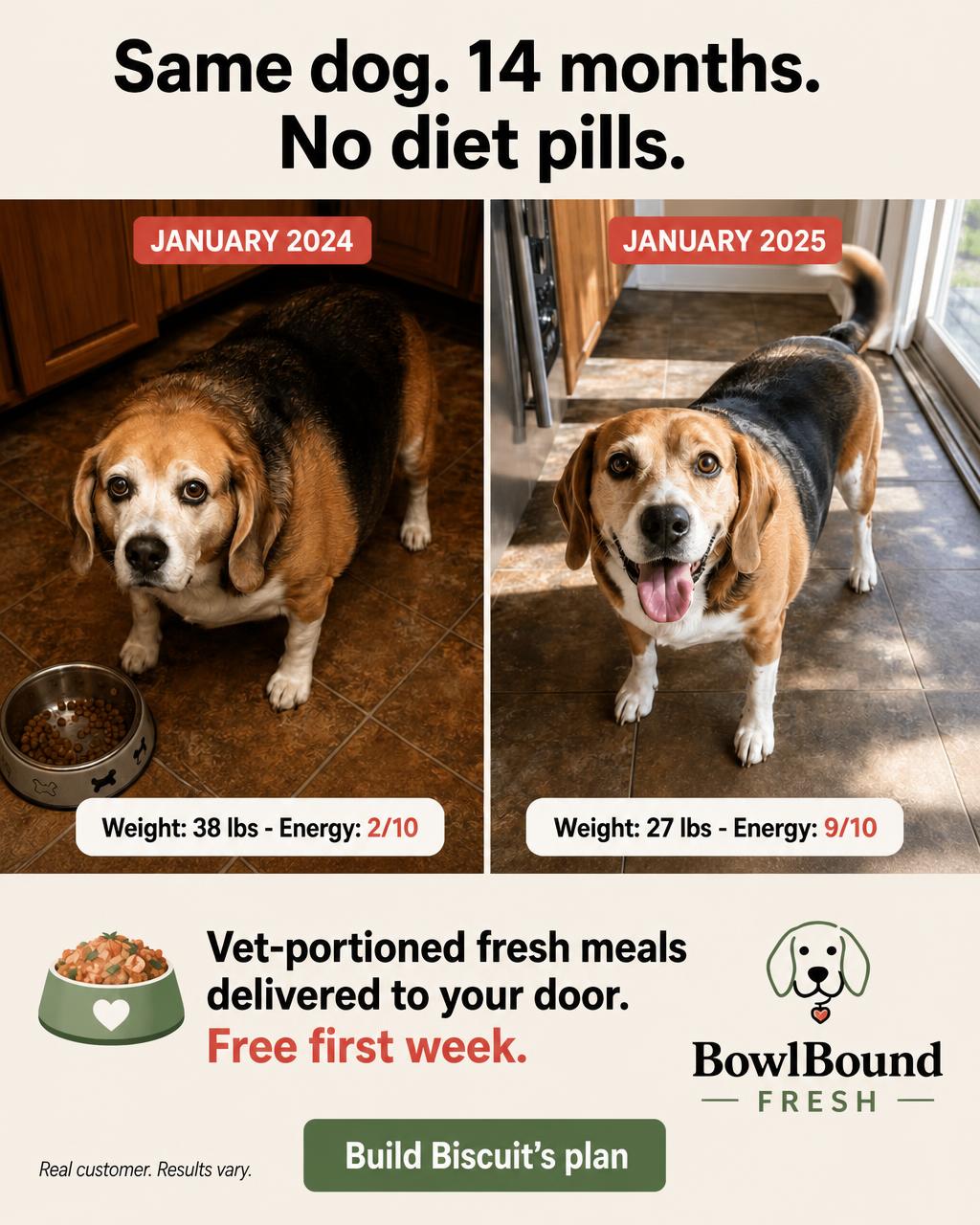 BowlBound Fresh dog food ad in English: Same dog. 14 months. No diet pills.